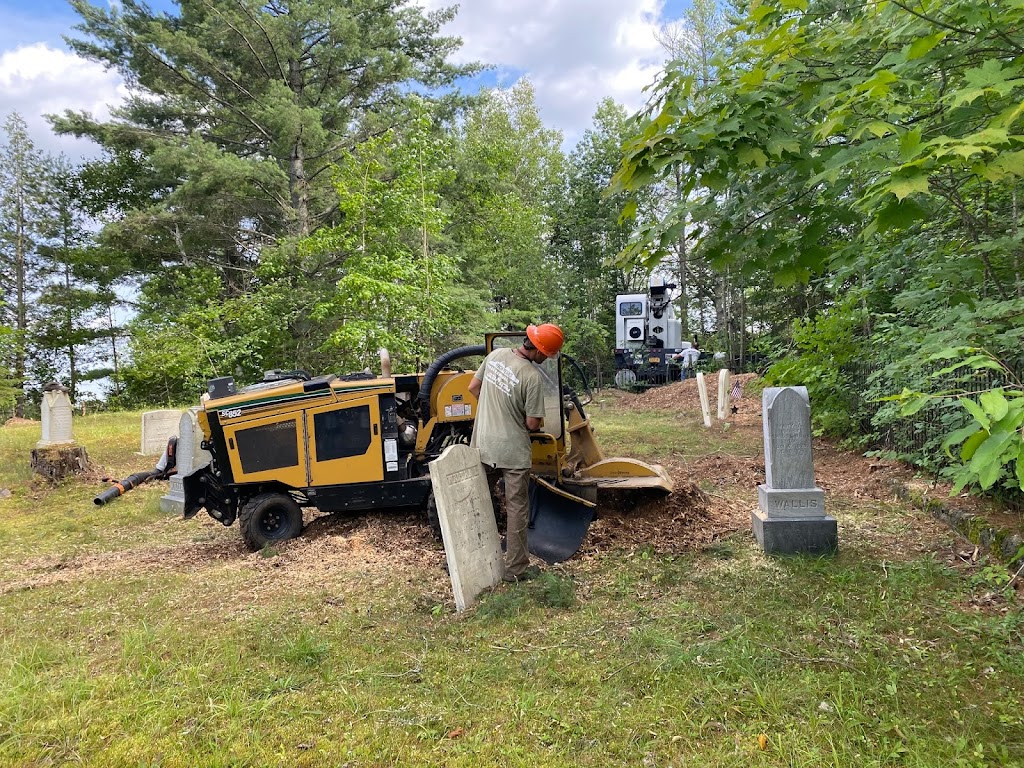 High Peaks Tree Removal | 71 Big Boom Rd, Queensbury, NY 12804, USA | Phone: (518) 668-9601