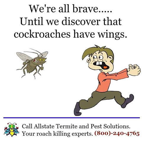 Allstate Termite & Pest Solutions - Tulsa | 2081 S 71st E Ave, Tulsa, OK 74112, USA | Phone: (918) 236-1925