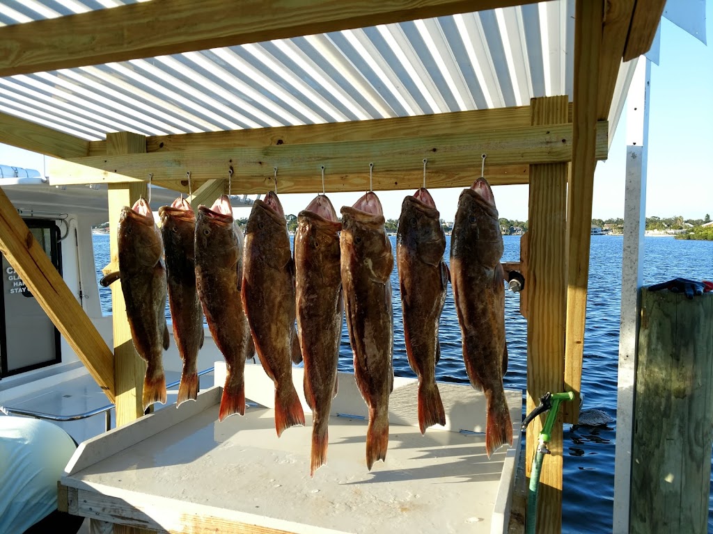 The Reef Chief Charters | 5300 Treadway Dr, Port Richey, FL 34668, USA | Phone: (727) 869-3201