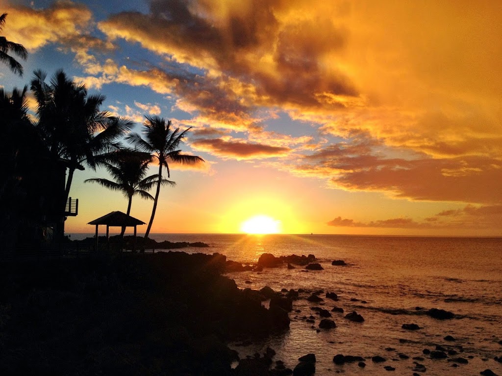 Paradise Real Estate Hawaii | 66-528a, Kamehameha Hwy, Haleiwa, HI 96712, USA | Phone: (808) 637-1997