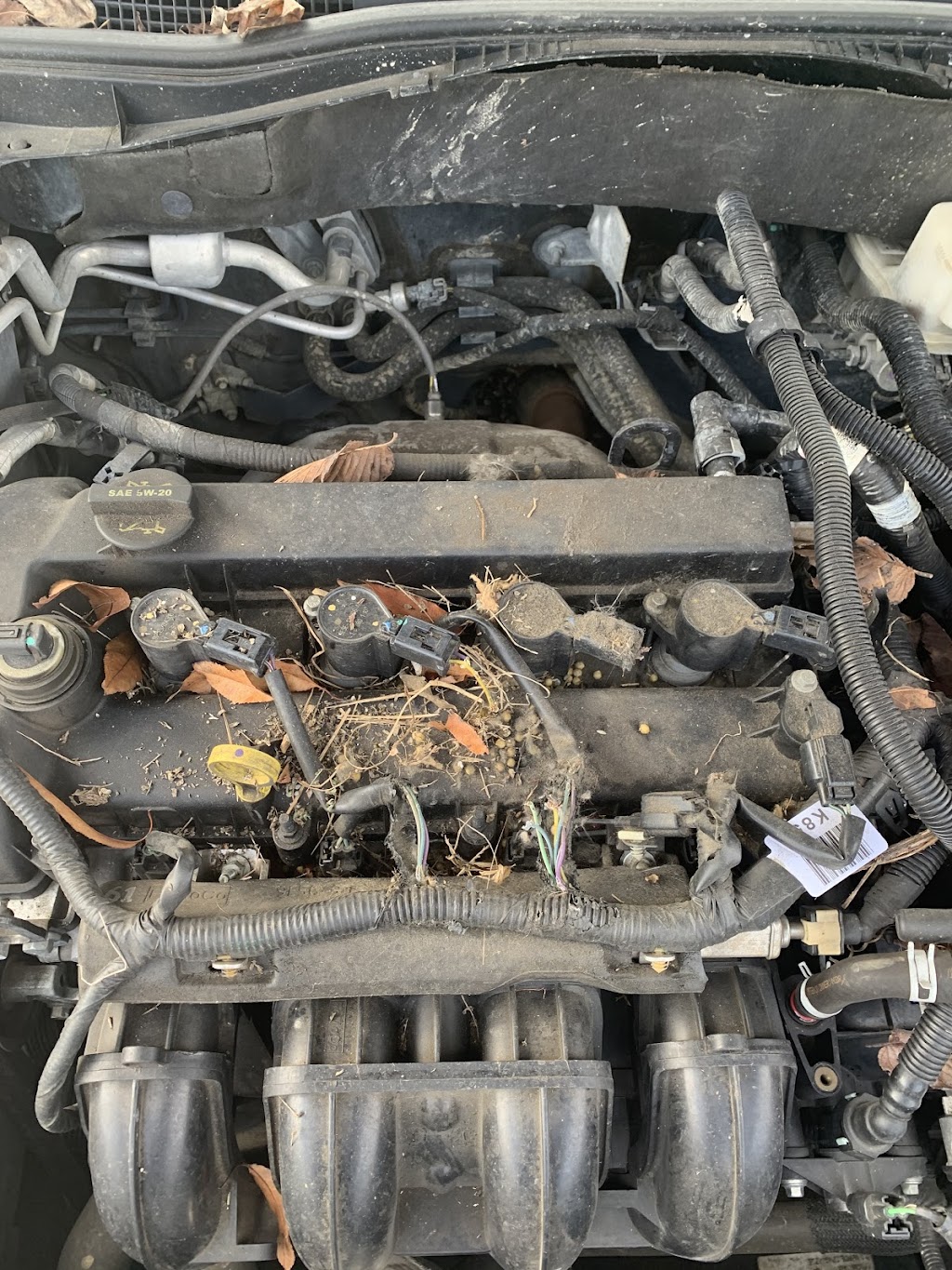 TFG Automotive | 7528 Old Nashville Hwy, Murfreesboro, TN 37129, USA | Phone: (615) 459-7030