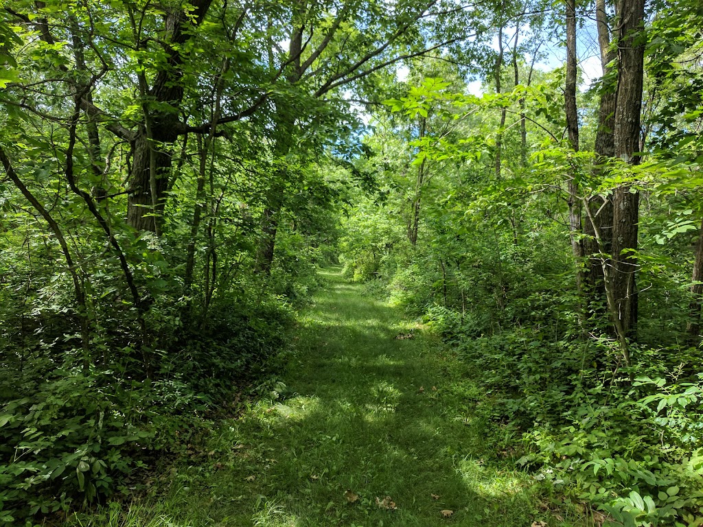 New Glarus Woods State Park | W5446 County Highway Nn, New Glarus, WI 53574, USA | Phone: (608) 527-2335