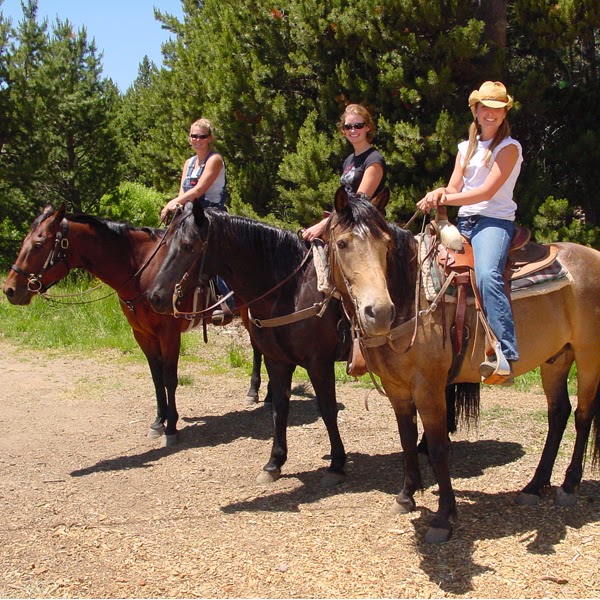 Tahoe Donner Equestrian Center | 15275 Alder Creek Rd, Truckee, CA 96161, USA | Phone: (530) 587-9470