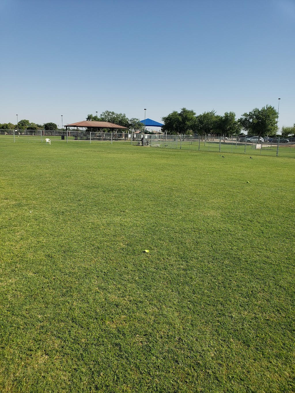 Gene Autry Park | 4125 E McKellips Rd, Mesa, AZ 85205 | Phone: (480) 644-7529