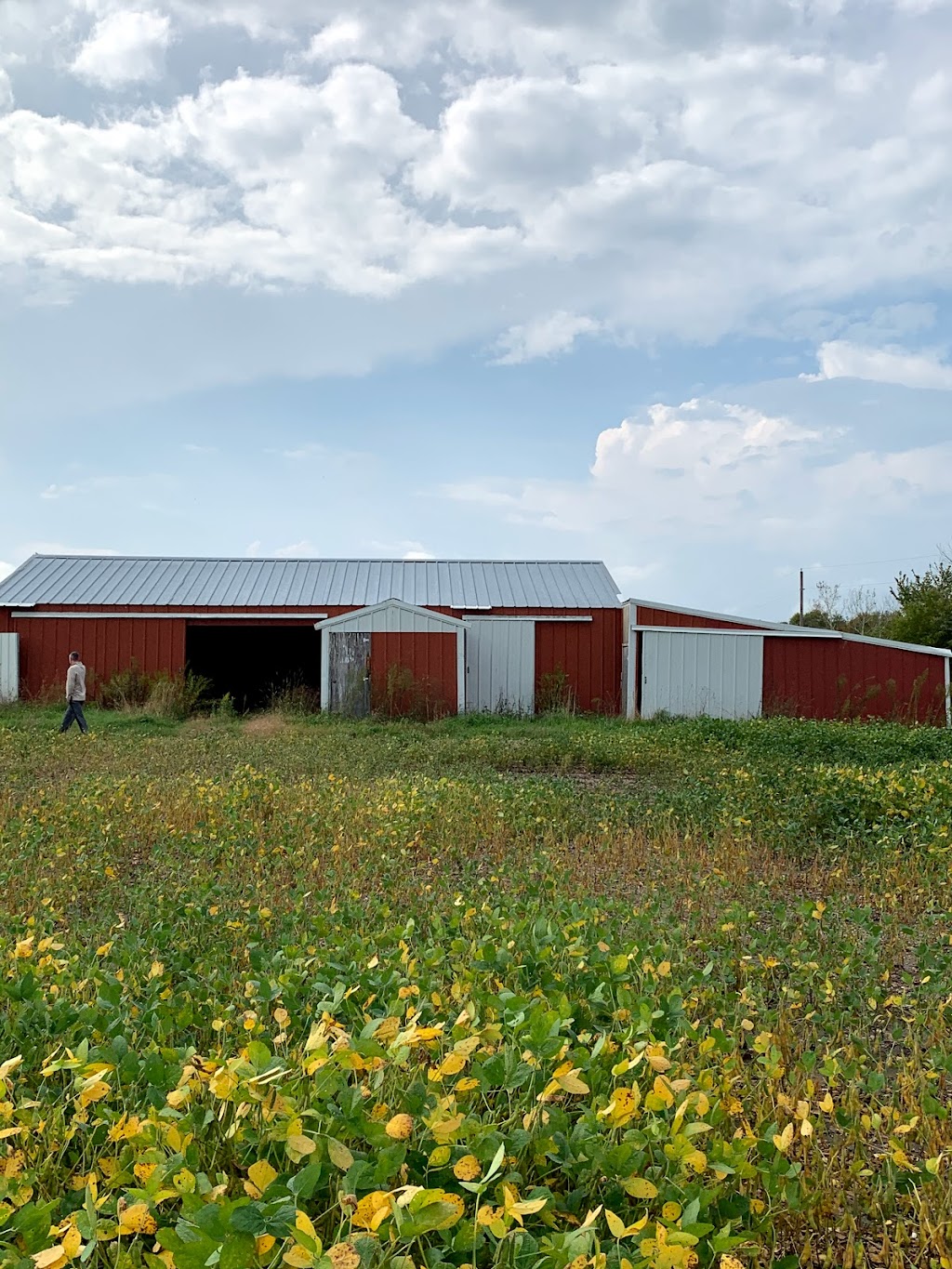 Hamel Community Center (Medina Township) | 3200 Mill St, Hamel, MN 55340, USA | Phone: (763) 458-1838