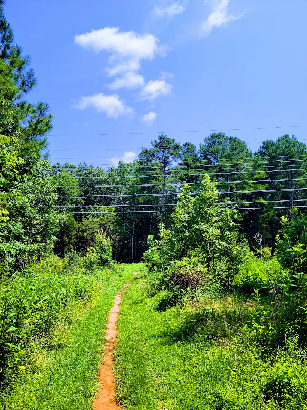 Johnston Mill Nature Preserve | 2713 Mt Sinai Rd, Chapel Hill, NC 27514, USA | Phone: (919) 908-8809