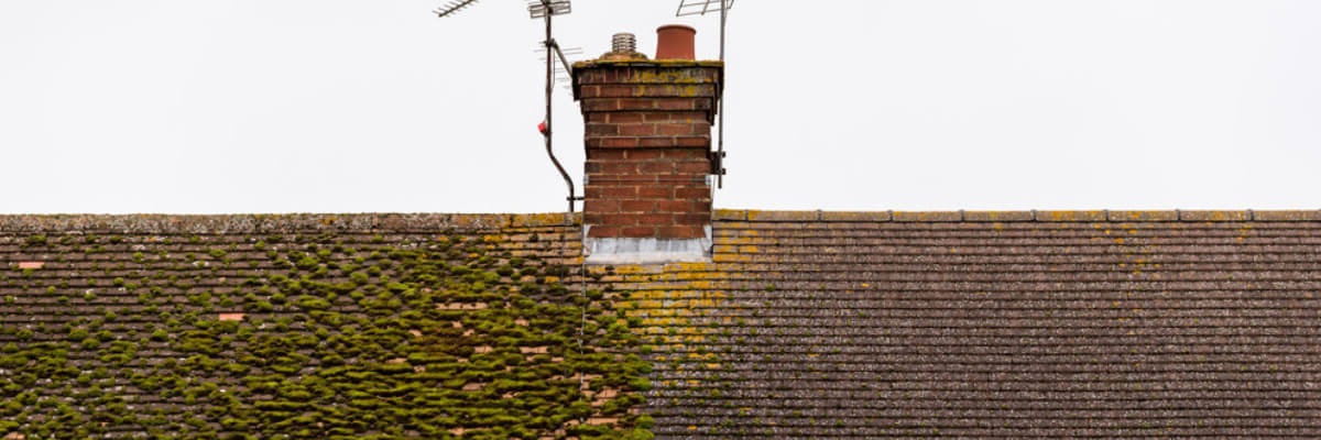 ARD Cleaning Services LLC | 2025 Magna Lane, Indian Trail, NC 28079, USA | Phone: (704) 776-4302