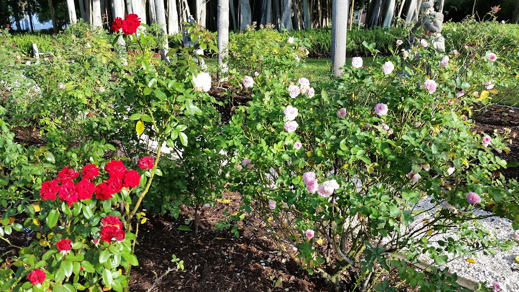 Mable Ringling Rose Garden at The Ringling | 5401 Bay Shore Rd, Sarasota, FL 34243, USA | Phone: (941) 359-5700