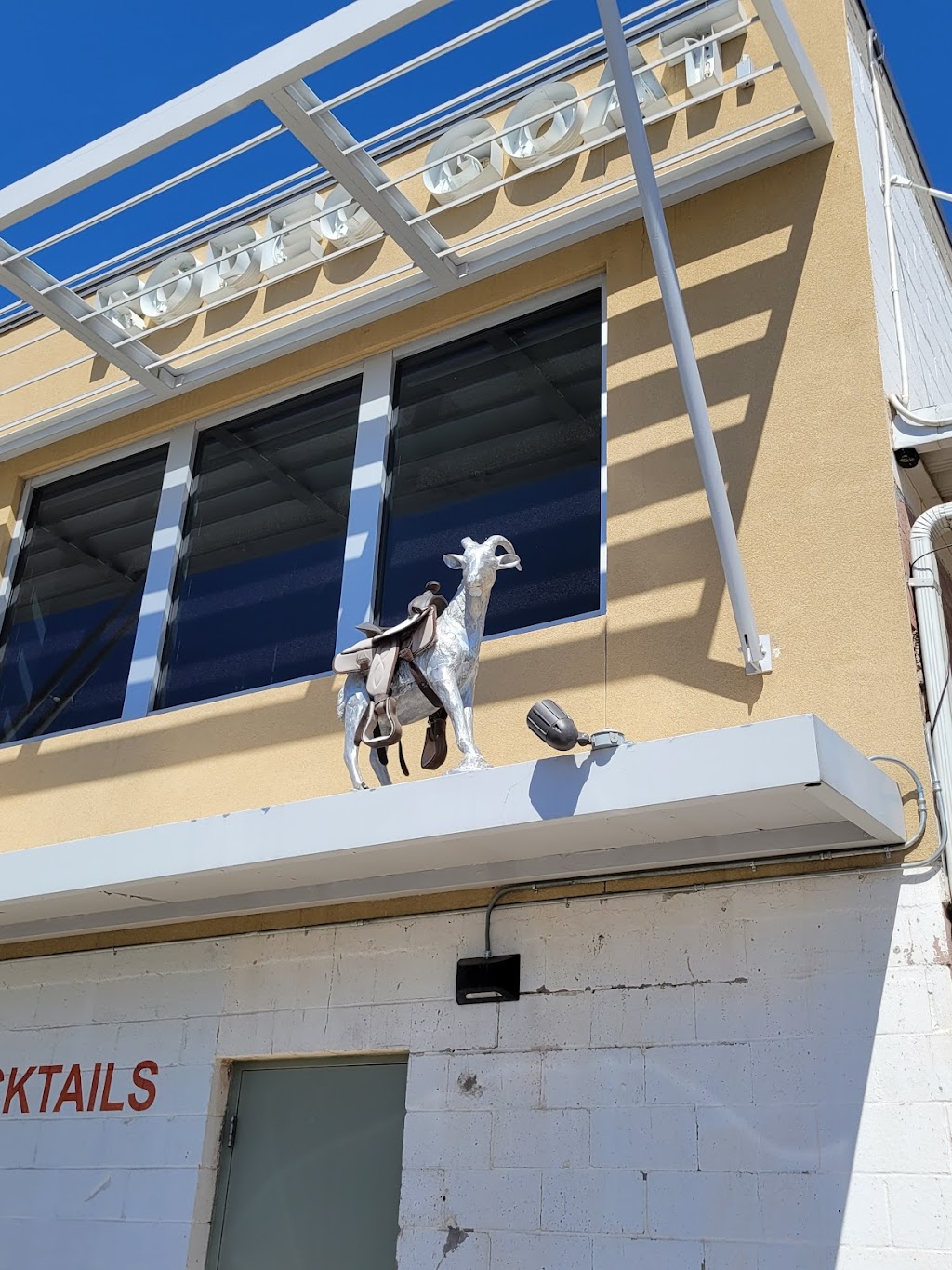Rodeo Goat | 2836 Bledsoe St, Fort Worth, TX 76107, USA | Phone: (817) 877-4628