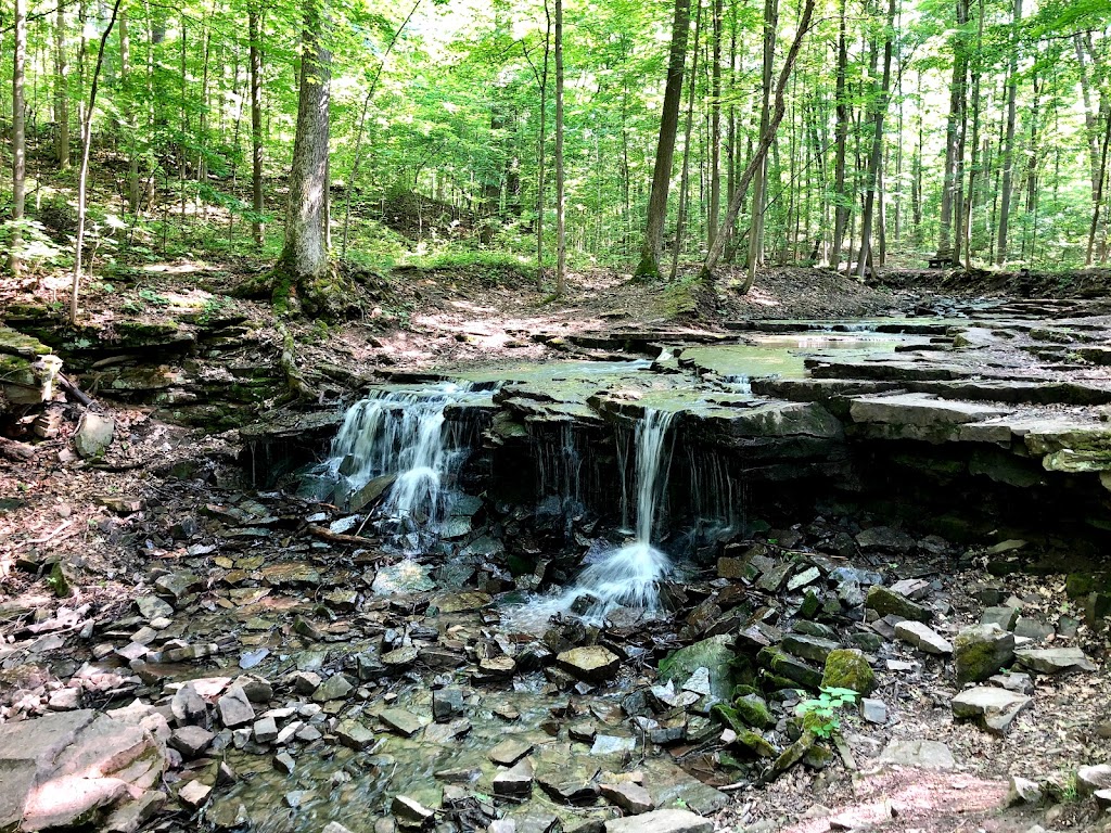 John B. Austin Nature Trail, Lockport | 6656-, 6822 Slayton Settlement Rd, Lockport, NY 14094, United States | Phone: (716) 439-9525