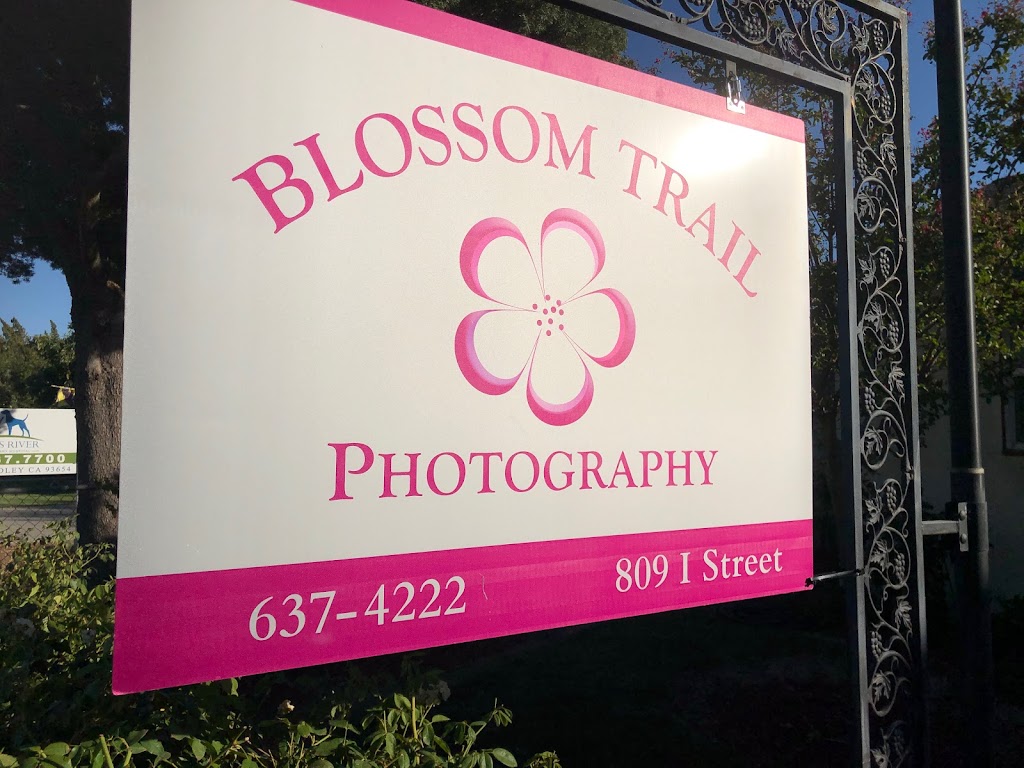 Blossom Trail Photography | 809 I St, Reedley, CA 93654, USA | Phone: (559) 637-4222