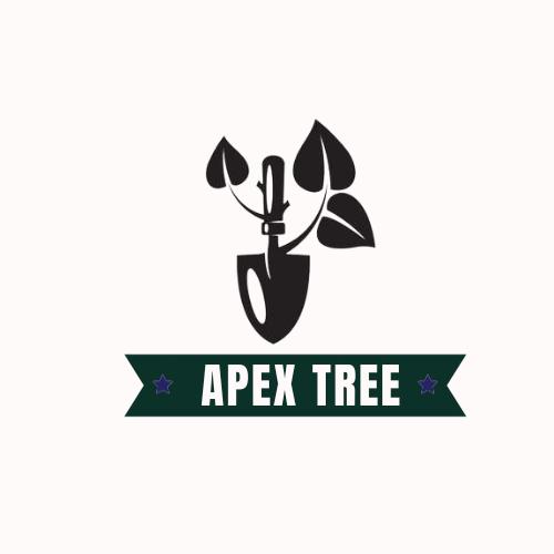 Apex Tree | 885 Seagull Ln, Newport Beach, CA 92663, United States | Phone: (949) 203-7891