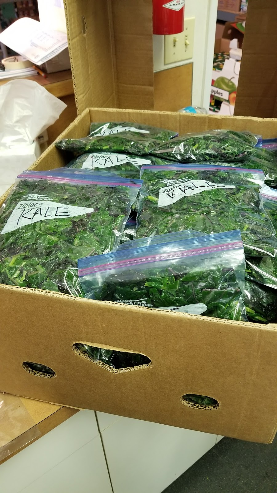 Good Cheer Food Bank | 2812 Grimm Rd, Langley, WA 98260, USA | Phone: (360) 221-6454