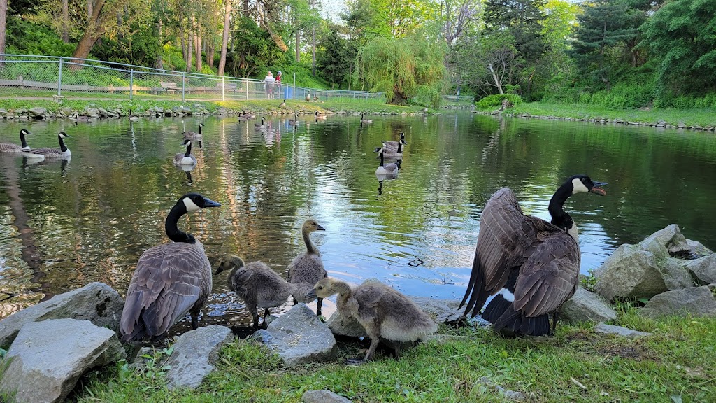 Happy Rolphs Animal Farm | 650 Read Rd, St. Catharines, ON L2R 7K6, Canada | Phone: (905) 688-5600