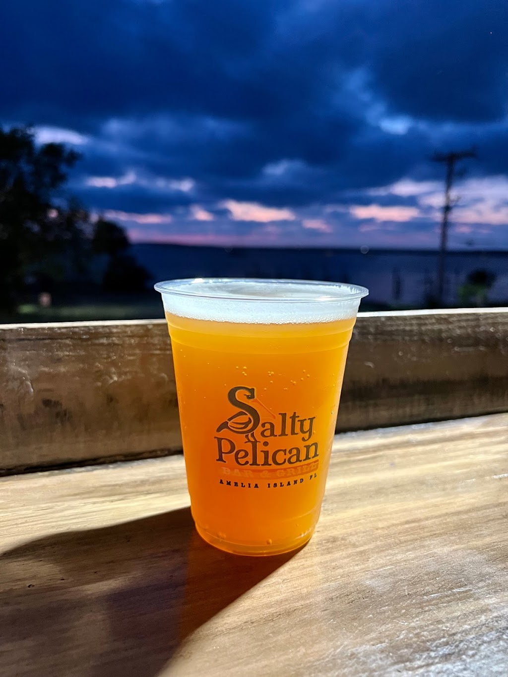 Salty Pelican Bar & Grill | 12 N Front St, Fernandina Beach, FL 32034, USA | Phone: (904) 277-3811