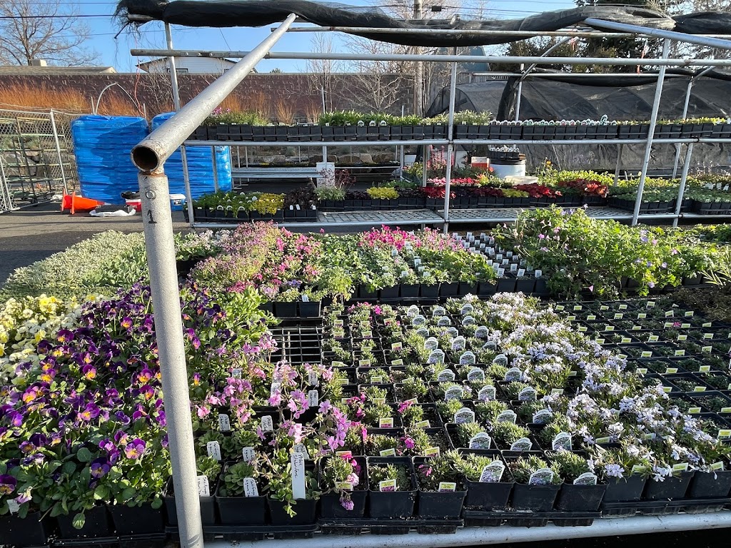 Giambrocco & Sons Boulder Nursery | Table Mesa Dr, Boulder, CO 80303, USA | Phone: (303) 421-7228