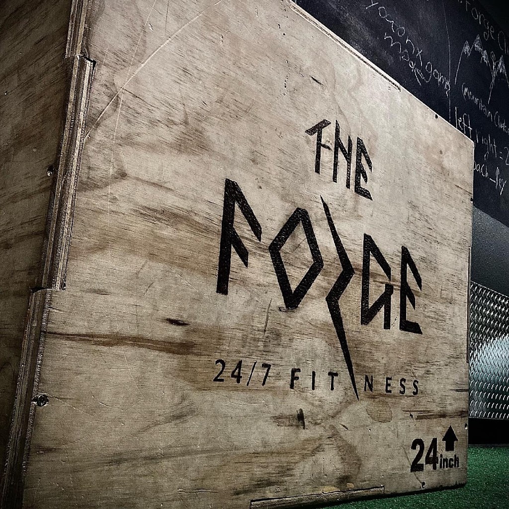 The Forge 24/7 Fitness | 4107 Henderson Blvd, Tampa, FL 33629, USA | Phone: (813) 695-1636