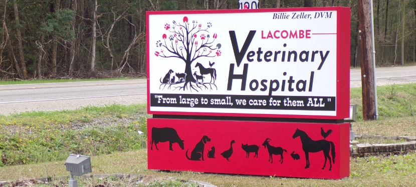 Lacombe Veterinary Hospital | 27351 North Highway 190, Lacombe, LA 70445, USA | Phone: (985) 218-9798