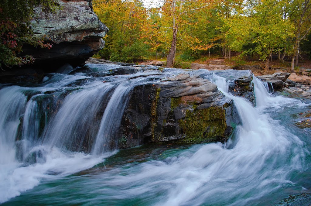 Turkey Creek Nature Preserve | 3906 Turkey Creek Rd, Pinson, AL 35126, USA | Phone: (205) 680-4116