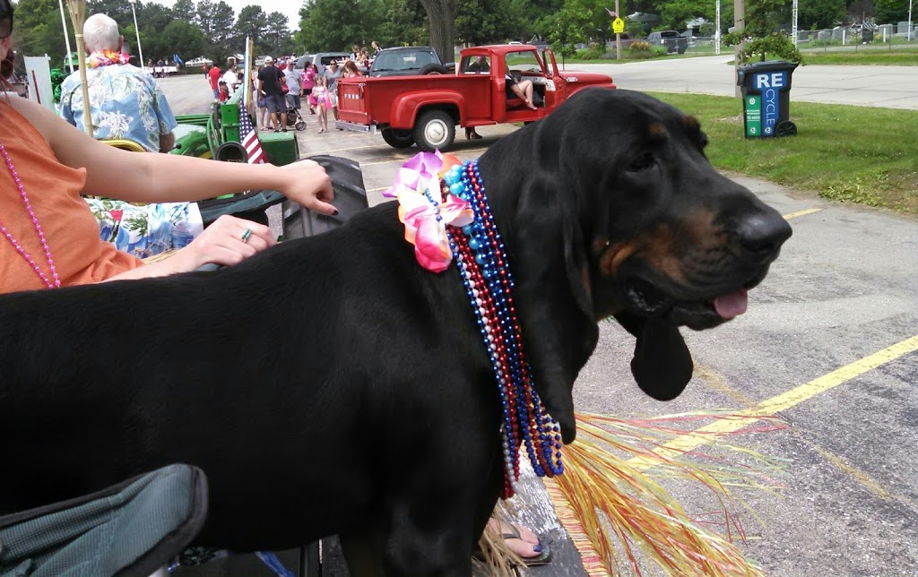 Woodland Animal Hospital | 6740 Woodland Blvd, Hickman, NE 68372 | Phone: (402) 858-1858