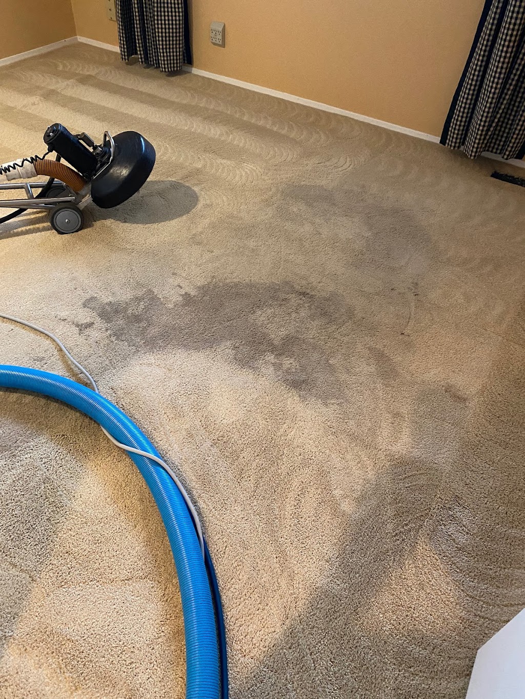 Revive Carpet Cleaning | 8411 299th Pl SE, Issaquah, WA 98027, USA | Phone: (425) 222-6037