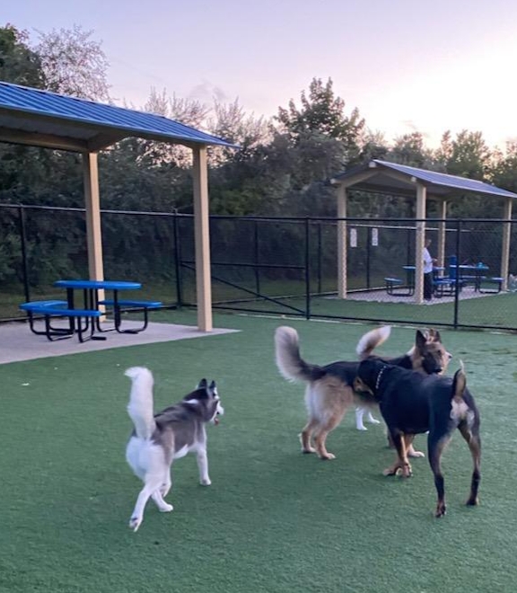 Town of Hempstead Dog Park | 2858 Shore Rd, Bellmore, NY 11710, USA | Phone: (516) 489-5000