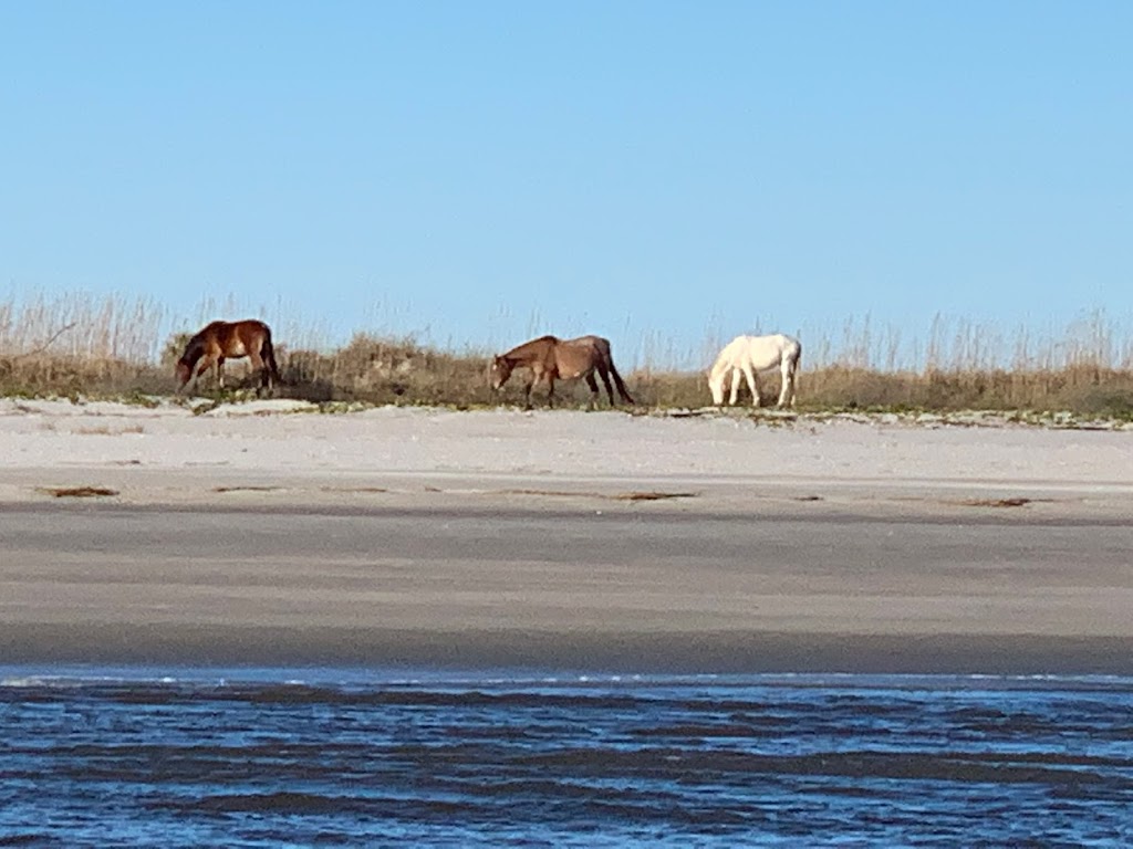 Amelia Island Charters | 1 South Front Street Dock E, Slip 8, Fernandina Beach, FL 32034, USA | Phone: (904) 335-1162