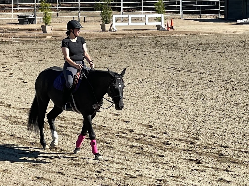 Epona Riding Academy and Natural Horsemanship | 11127 Orcas Ave, Sylmar, CA 91342 | Phone: (818) 568-2373