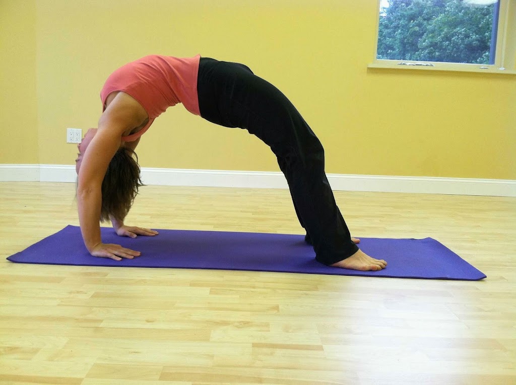 Yoga Station | 221 E Hartsdale Ave, Hartsdale, NY 10530, USA | Phone: (914) 874-6295