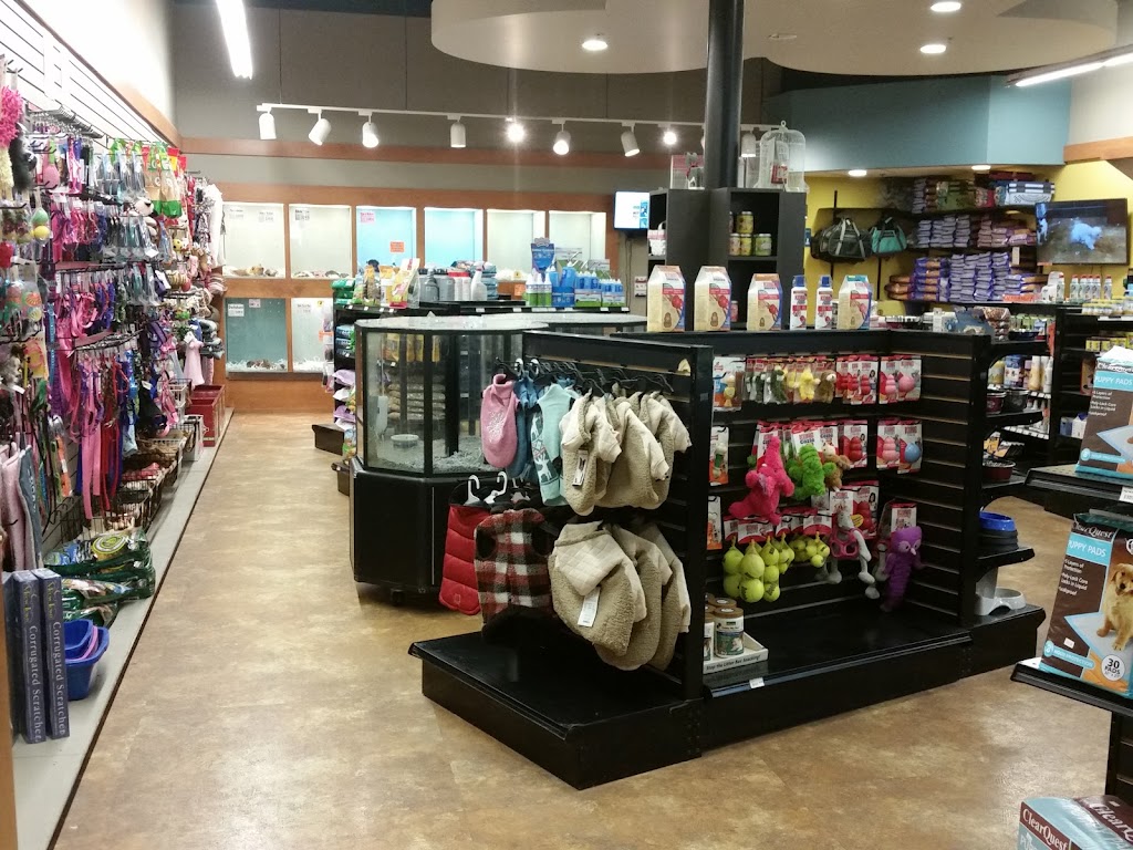 Four Paws and a Tail | 120 Northtown Dr NE, Blaine, MN 55434, USA | Phone: (763) 786-0139