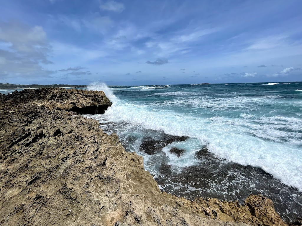 Mokuauia Islet Seabird Sanctuary | Laie, HI 96762, USA | Phone: (808) 587-0400