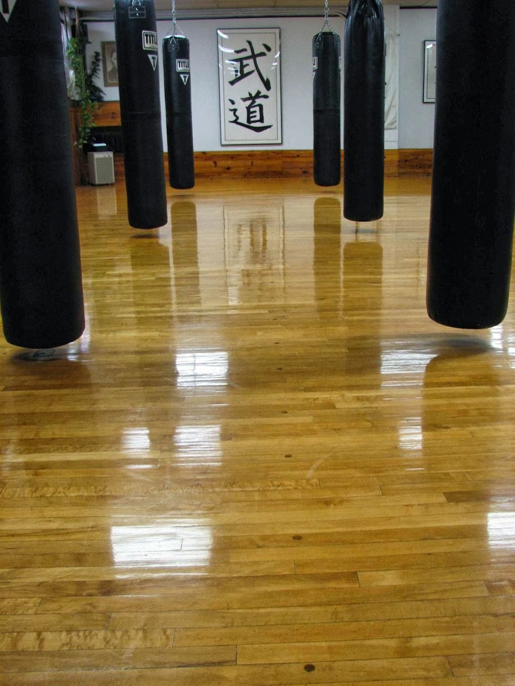 Budo Kai Karate | 812 Kinderkamack Rd, River Edge, NJ 07661, USA | Phone: (201) 265-8109