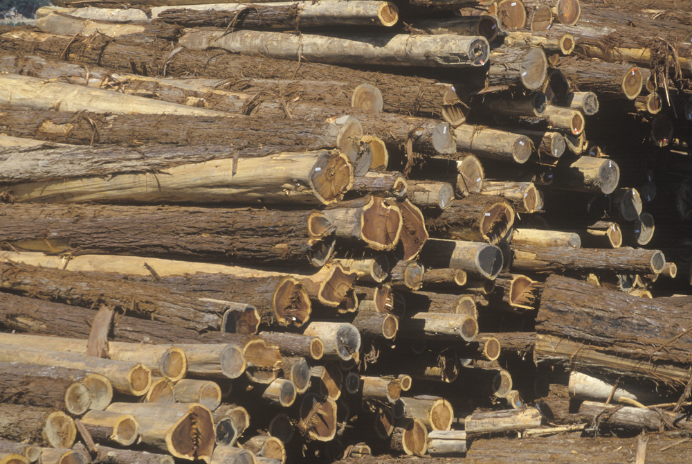 Foster Lumber | 2411 Maggio Cir, Lodi, CA 95240, USA | Phone: (209) 339-9663