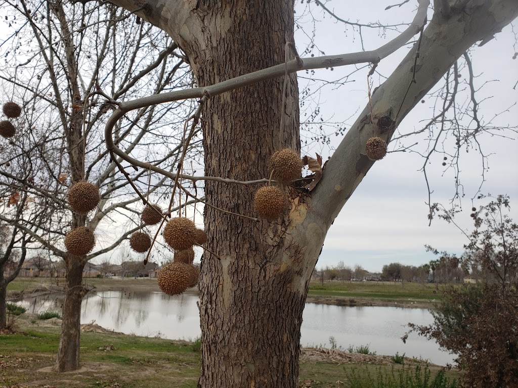 Heritage Park Disc Golf Course | 661 Hanford-Armona Rd, Lemoore, CA 93245, USA | Phone: (559) 309-3868