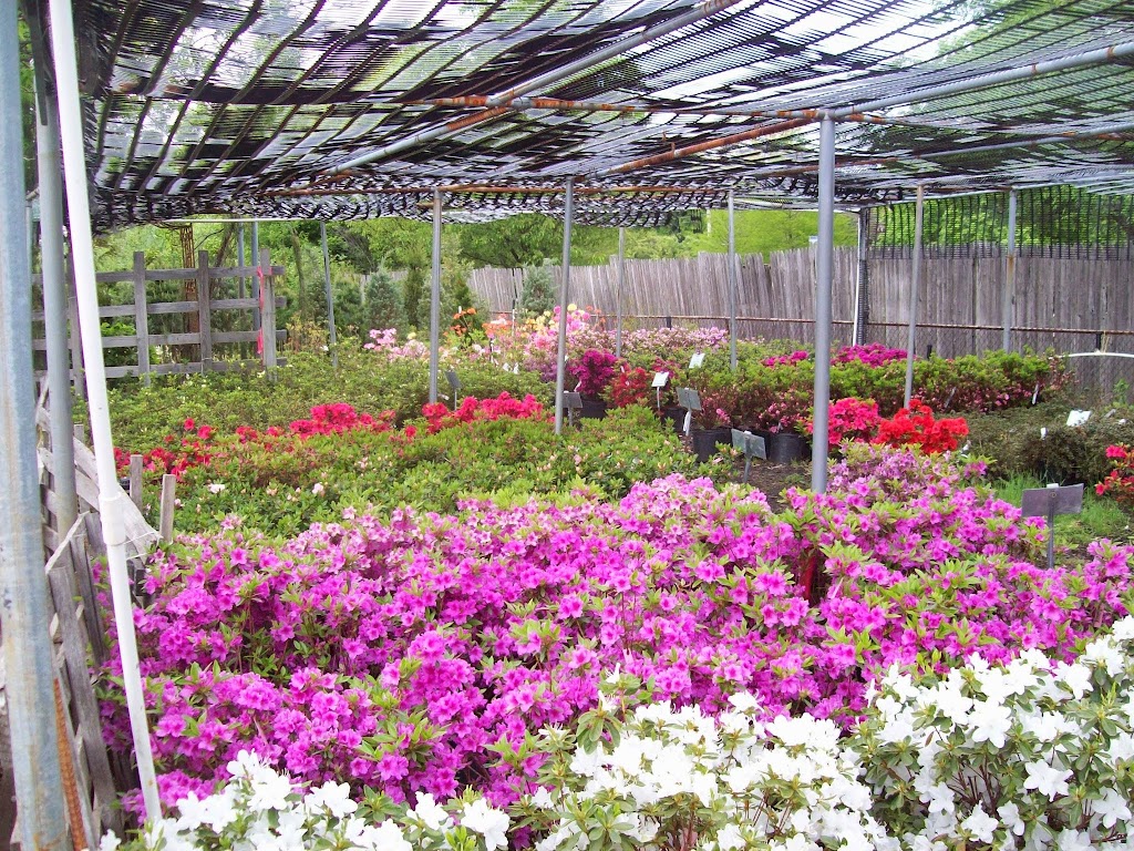 Hartke Nursery | 1030 N Warson Rd, St. Louis, MO 63132, USA | Phone: (314) 997-6679