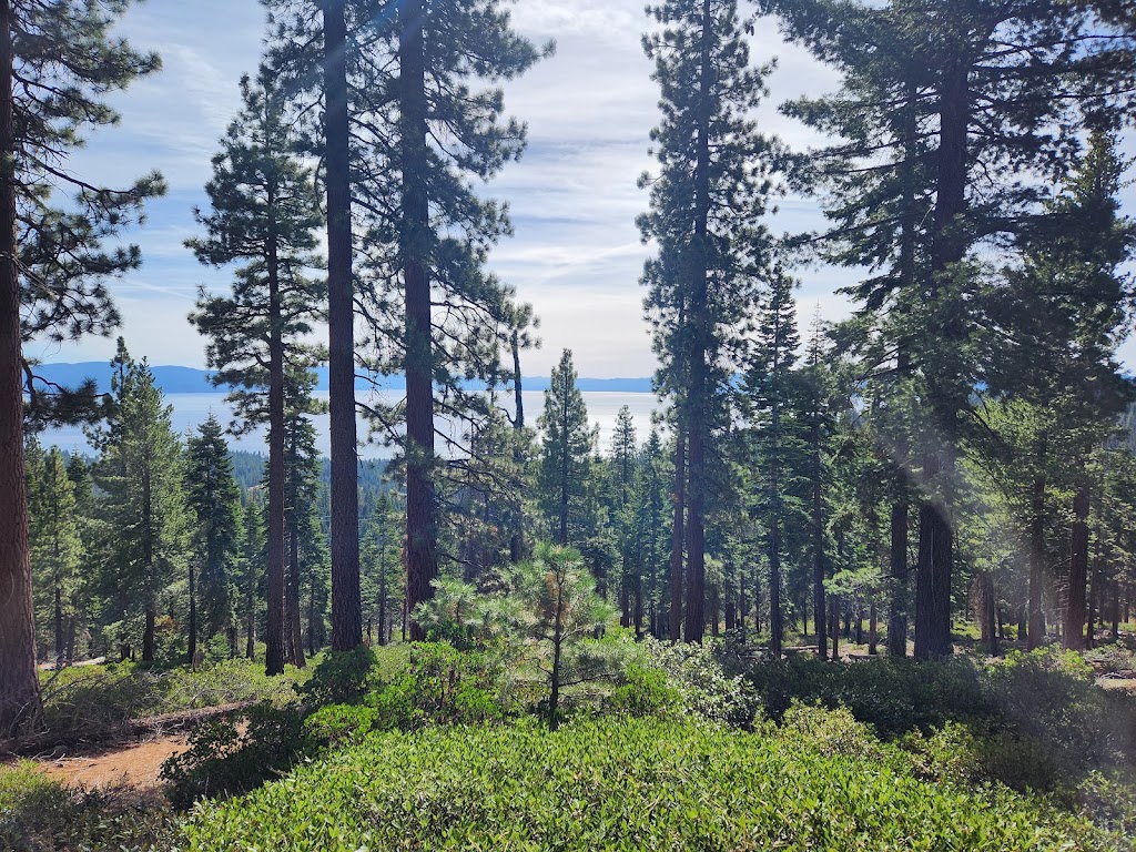 Brockway Summit Tahoe Rim Trail Trailhead | Tahoe Rim Trail, Tahoe Vista, CA 96148, USA | Phone: (775) 298-4485