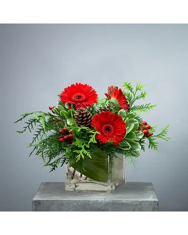 The Darling Elves Flower and Gift Shop | 155 W 5th St, Oswego, NY 13126, United States | Phone: (315) 312-0403