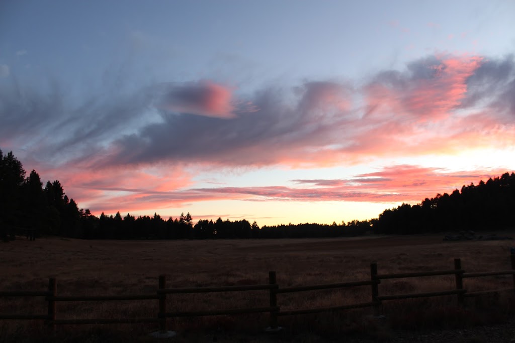 Laguna Campground | Meadow Trailer Loop, Mt Laguna, CA 91948, USA | Phone: (877) 444-6777