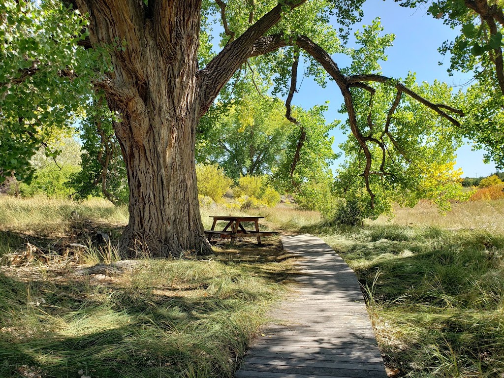 Leonora Curtin Wetland Preserve | 49A W Frontage Rd, Santa Fe, NM 87507, USA | Phone: (505) 471-2261