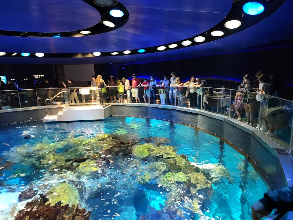 New England Aquarium | 1 Central Wharf, Boston, MA 02110, USA | Phone: (617) 973-5200