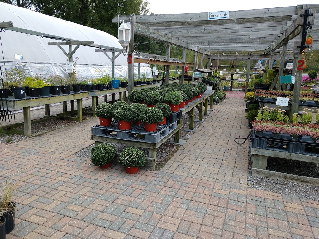 Oak Park Garden Center | 3131 Wilkins Rd, Swanton, OH 43558, USA | Phone: (419) 825-1438