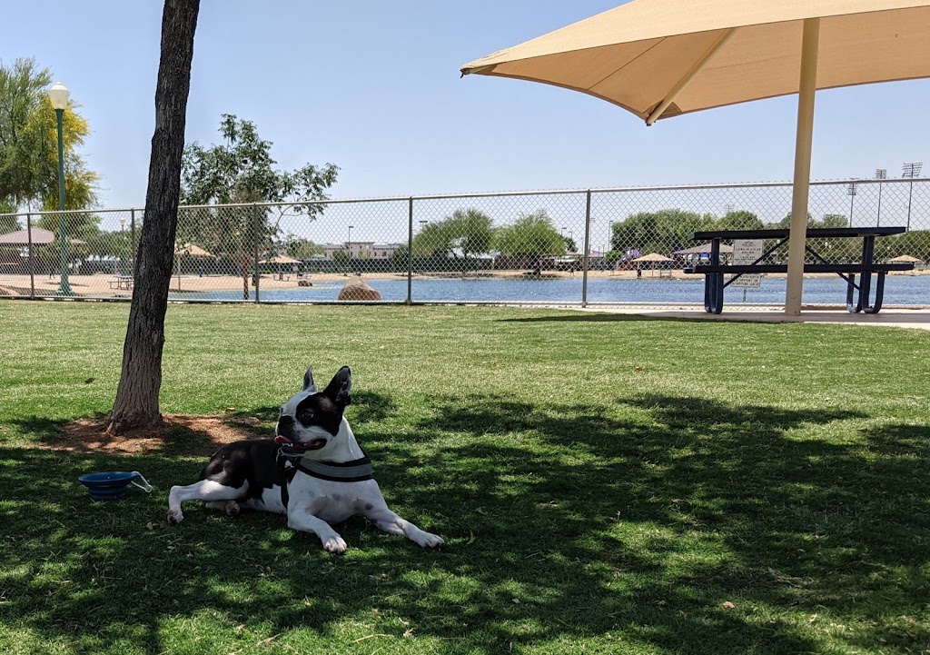 Small Dog Park | 15960 N Bullard Ave, Surprise, AZ 85374, USA | Phone: (623) 222-2000