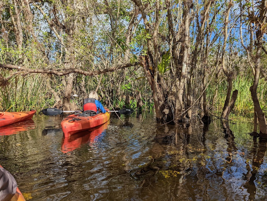 Big Cypress National Preserve | 33100 Tamiami Trail E, Ochopee, FL 34141, USA | Phone: (239) 695-2000