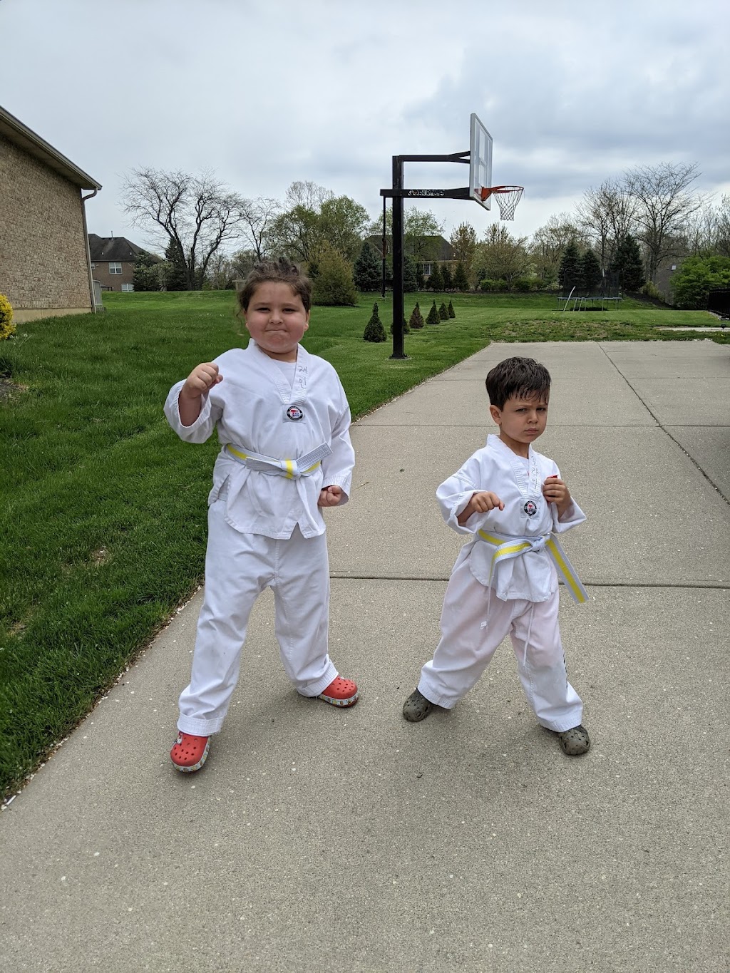 Hans White Tiger Tae Kwon Do | 8177 Princeton Glendale Rd, West Chester Township, OH 45069, USA | Phone: (513) 553-5700