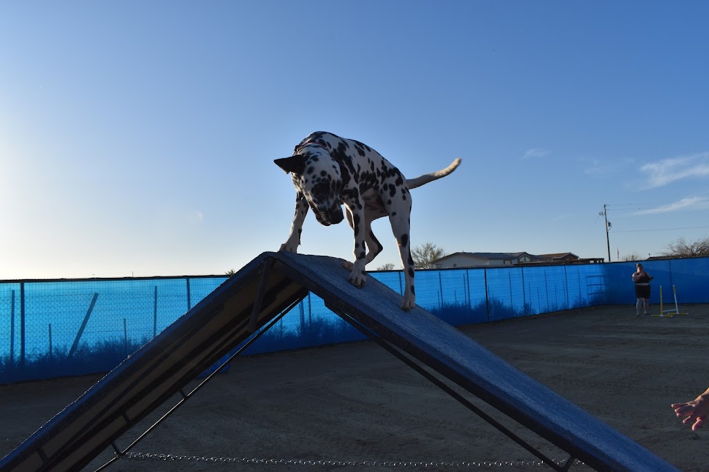 Legend Acres Agility Course Dog Park | 25038 N 195th Ave, Wittmann, AZ 85361, USA | Phone: (931) 516-3064