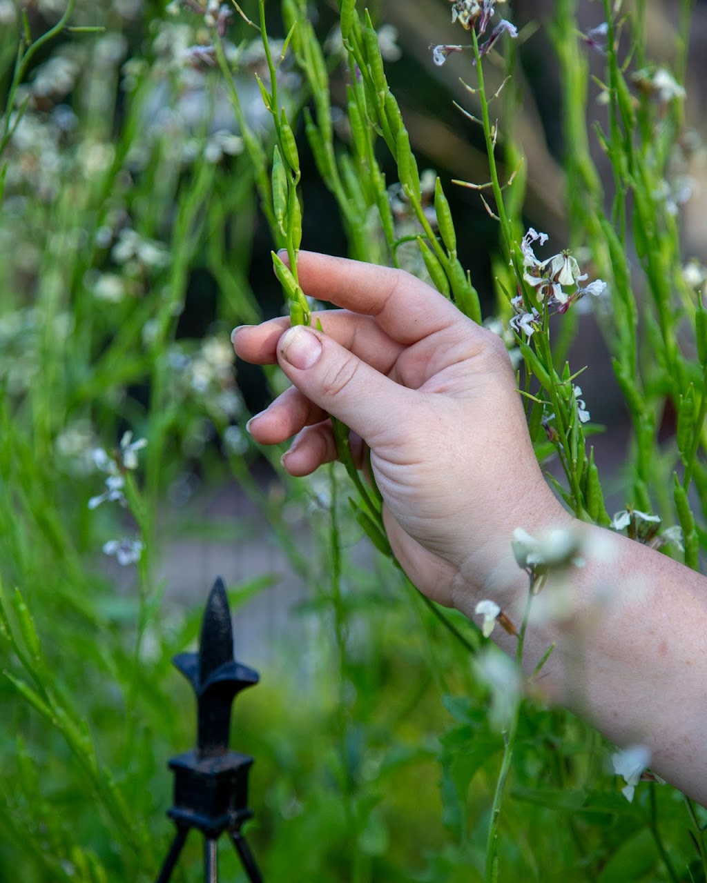 Heirloom Potager | 2416 N Riverside Dr, Santa Ana, CA 92706, USA | Phone: (714) 360-0015