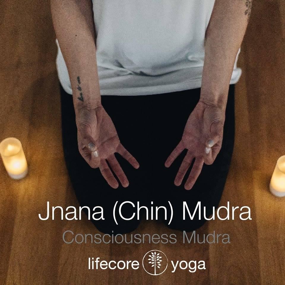 LifeCore Yoga | 1011 Meadowlands Dr #10, White Bear Lake, MN 55127, USA | Phone: (612) 986-7216