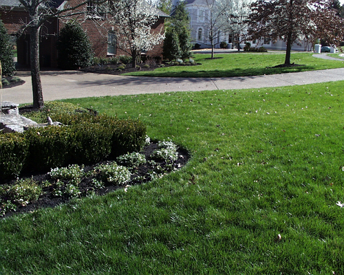 Second Nature Lawn Care | 6611 Cool Springs Rd, Thompsons Station, TN 37179, USA | Phone: (615) 254-1005