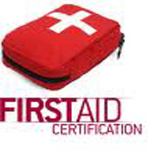 CPR First Aid Provider | 17400 Vanowen St, Lake Balboa, CA 91406, USA | Phone: (818) 206-5254