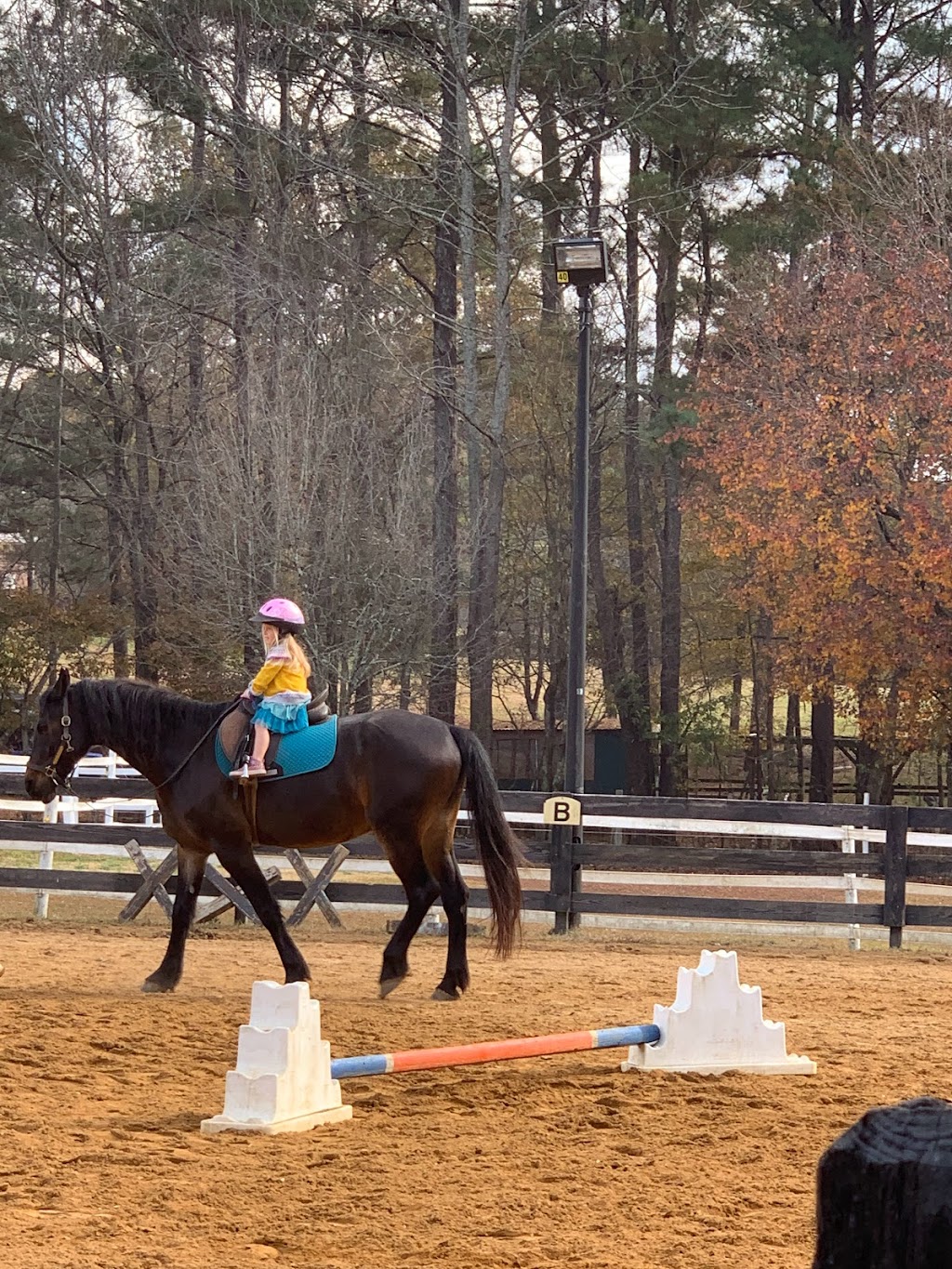 Sky Creek Farm and Ride with Heid | 3671 N Cook Rd, Powder Springs, GA 30127, USA | Phone: (404) 610-5045